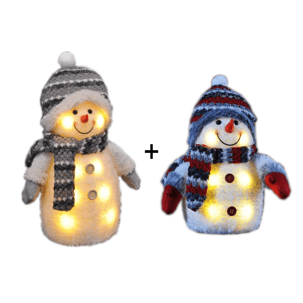 Schneemann-Set-gravidus-7820_1.png