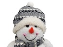 LED-Deko-Schneemann-beleuchtet-Dekofigur-Weihnachtsdekoration-Hoehe-ca--26-cm-gravidus-10340_6.jpg
