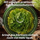 Schneckenschutzring-Set-Salatring-Pflanzenkragen-Kunststoff-ca--20-x-20-cm-gravidus-11290_5.jpg