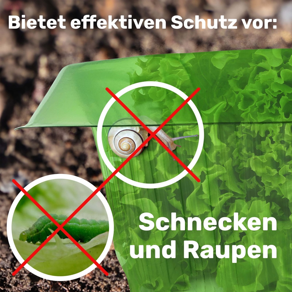 Schneckenschutzring-Set-Salatring-Pflanzenkragen-Kunststoff-ca--20-x-20-cm-gravidus-11290_6.jpg