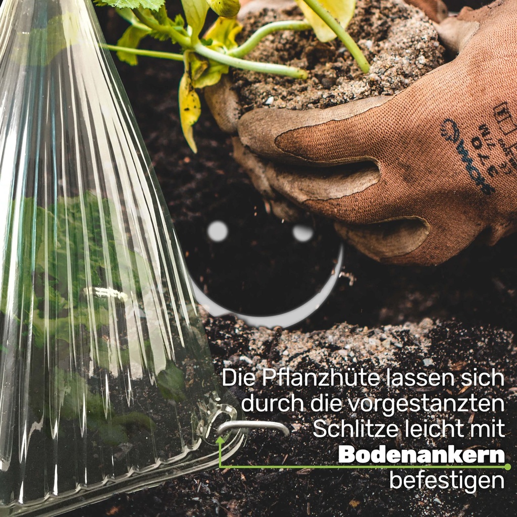 Pflanzenhut-Pflanzenschutz-Pflanzen-Abdeckung-Pflanzhilfe-Gartenglocken-Set-Tomatengewaechshaus--Anzuchtkasten--Schneckenzaun--Schneckenschutzring--Anzuchtplatte-gravidus-11298_2.jpg