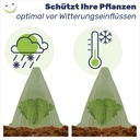 Pflanzenhut-Pflanzenschutz-Pflanzen-Abdeckung-Pflanzhilfe-Gartenglocken-Set-Tomatengewaechshaus--Anzuchtkasten--Schneckenzaun--Schneckenschutzring--Anzuchtplatte-gravidus-11298_3.jpg