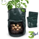 Pflanzsack-fuer-Kartoffeln--Radieschen-usw--in-Gruen-Masse-LxBxH---ca--30-x-43-cm-Pflanzsack--Kartoffel-Pflanzsack--Pflanzsaecke--Pflanzsack-Kartoffeln--Kartoffelsack-zum-pflanzen-gravi_8.jpg