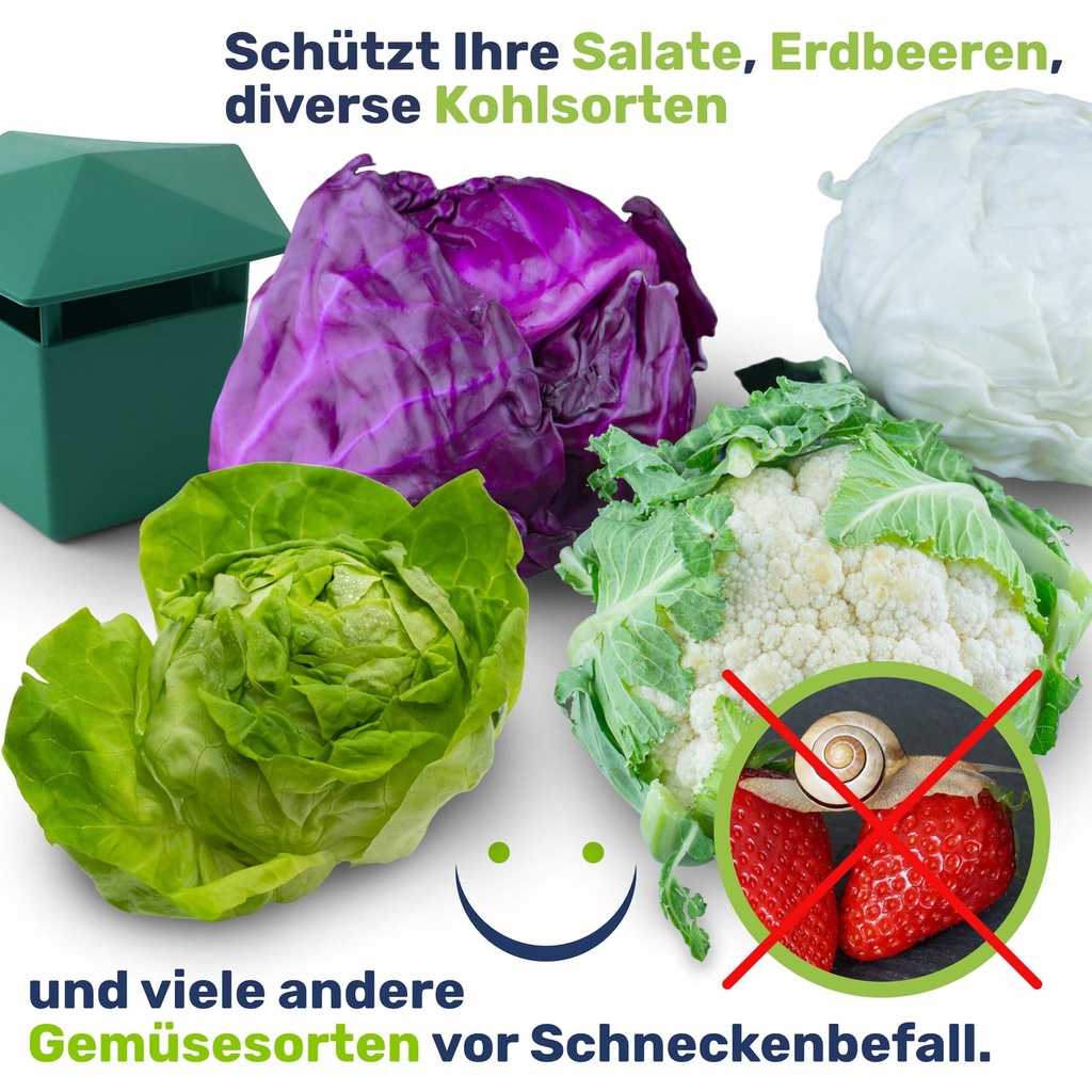 Schneckenfalle-2er-Set-Schneckenabwehr-Pflanzschutz-Schneckenschutz-Bierfalle-gravidus-11306_5.jpg