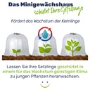 Minigewaechshaus-3er-Glockenfoermig-Schutz-fuer-Jungpflanzen-Kunststoff-Minigewaechshaus--Pflanzenpflege--Gartenbedarf--Schutzabdeckung--Pflanzenzucht--Gartenarbeit--Nachhaltige-Garteng_4.jpg