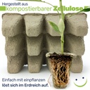 Anzuchtplatte-Anzuchttoepfe-Saattopf-kompostierbar--gravidus-11500_1.jpg