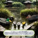 Schwimmenten-Set-aus-Kunststoff-----Perfekt-fuer-den-Teich-Schwimmenten-fuer-Teich--Deko-Enten-schwimmend--Teich-Deko-Figuren--schwimmende-Enten-fuer-Gartenteich--realistische-Schwimmen_9.jpg