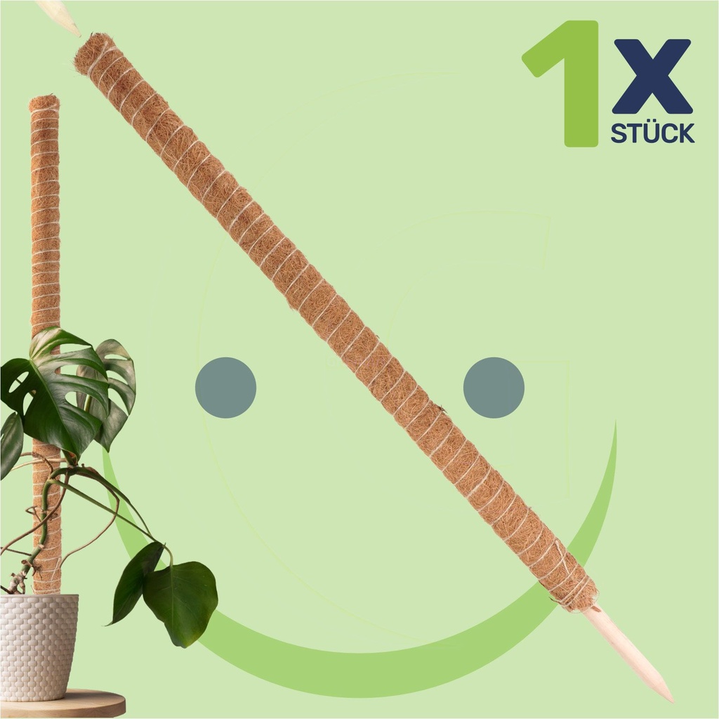 ---Erweiterbare-Rankhilfe-110-cm-mit-Kokosfilz-fuer-Zimmerpflanzen----rankhilfe-kokosstab-erweiterbare-pflanzenstuetze-kokosfilz-110cm-pflanzenstab-kokosfaser-zimmerpflanzen-erweiterbar_1.jpg
