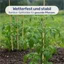 Bambus-Splittstaebe-50---cm-----Pflanzstaebe-Rankhilfe-fuer-Garten-und-Topf-bambus-pflanzstaebe-50cm-rankhilfe-tomaten-pflanzstab-bambusstaebe-anzuchthilfe-pflanzenstuetze-gartenpflanzs_5.jpg