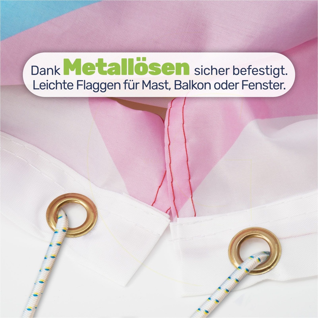 LGBTQ--Flagge-150x90cm-mit-oesen-----8-Varianten-zur-Auswahl-lgbtq-flagge-regenbogenflagge-150x90-lesbische-flagge-polyester-trans-flagge-nylon-pansexuelle-flagge-mit-oesen-pride-flagge-o.jpg