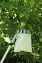 Obstpfluecker-Erntehelfer-Obst-Pfluecker-Apfelpfluecker-mit-Teleskopstange-Obstpfluecker-mit-Teoeeskopstiel--Apfelpfluecker--Kirschpfluecker--Pflaumenpfluecker-gravidus-2184.jpg