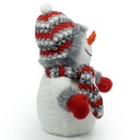 Schneemann-Dekofigur-Weihnachten-Winter-Deko-Schneemann--Weihnachten--Dekofigur--Winter--Schnee--Figur--Deko--LED--Muetze--Schal--Batterie--Weiss--beleuchtet--Beleuchtung-gravidus-3880_1.jpg