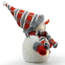 Schneemann-Weihnachten-Deko-Figur-LED-Schneemann--Weihnachten--Dekofigur--Winter--Schnee--Figur--Deko--LED--Muetze--Schal--Batterie--Weiss--beleuchtet--Beleuchtung-gravidus-3881_1.jpg