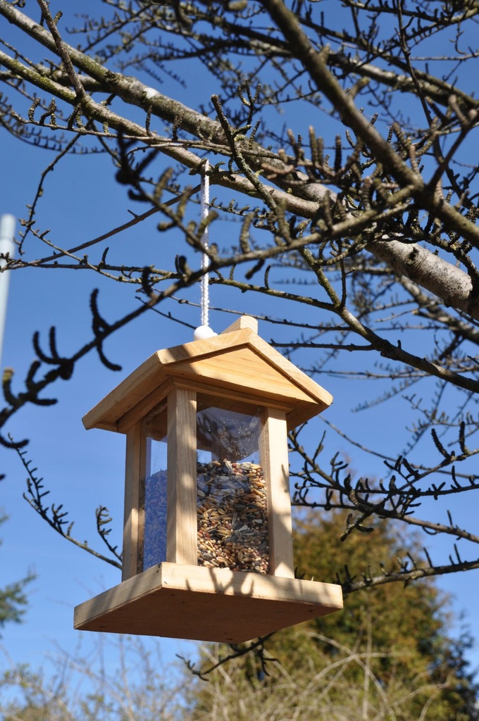 Vogelfutterhaus-Vogelfutterstation-Futterspender-Futterhaus-Spender-aus-Holz-Vogelfutterhaus--Vogelfutterstation--Futterspender--Futterhaus--Spender--Vogel--Wildvogel--Futter--Koerner--Hol.jpg