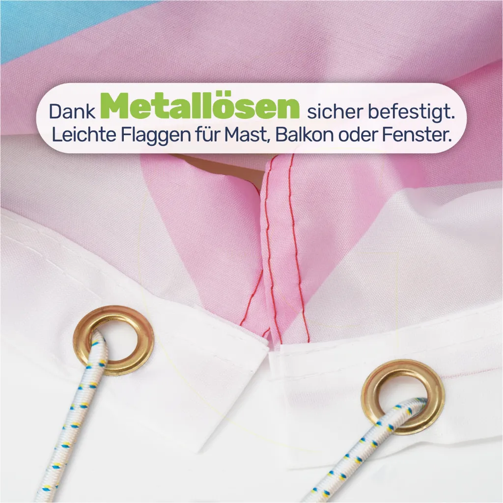 9---LGBTQ+-Flagge-150x90cm-mit-Ösen-–-8-Varianten-zur-Auswahl---Leasbian.webp