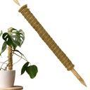 Erweiterbare Pflanzenstütze mit Kokosfilz – Rankhilfe 60 cm