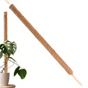 ​Erweiterbare Rankhilfe 110 cm mit Kokosfilz für Zimmerpflanzen​