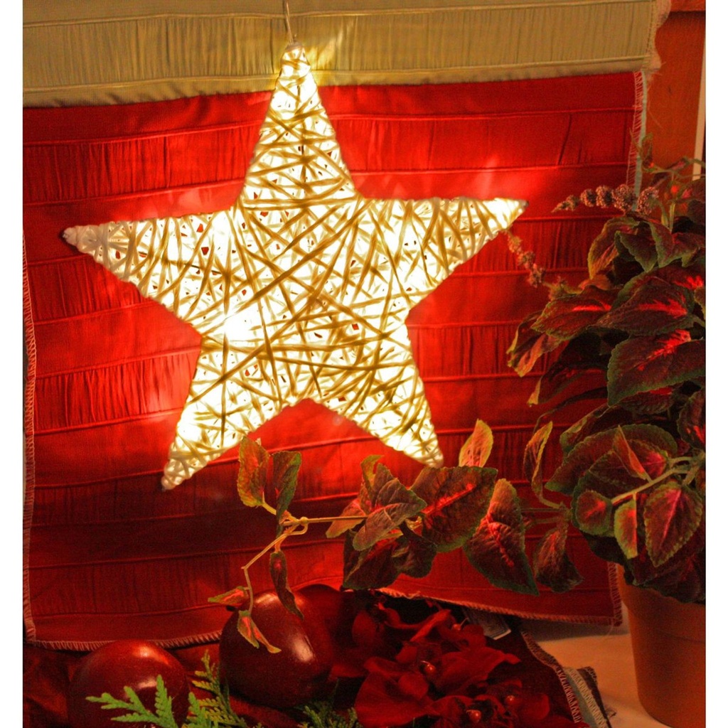 20 LED Weihnachtsstern Adventsbeleuchtung