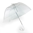 Stockschirm Regen- und Wetterschutz Regenschirm in transparent