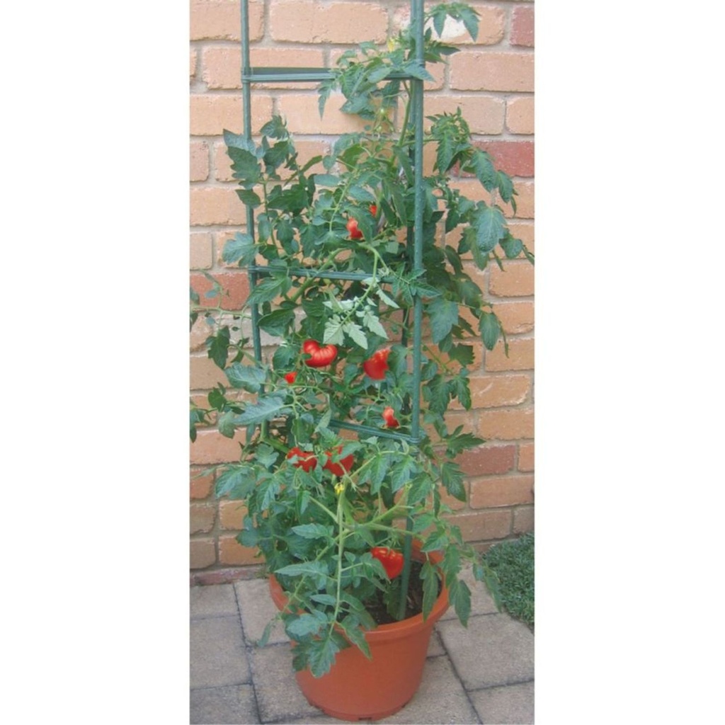 [17310] Tomatenkäfig Rankhilfe für Kletterpflanzen Gemüse und Blumen