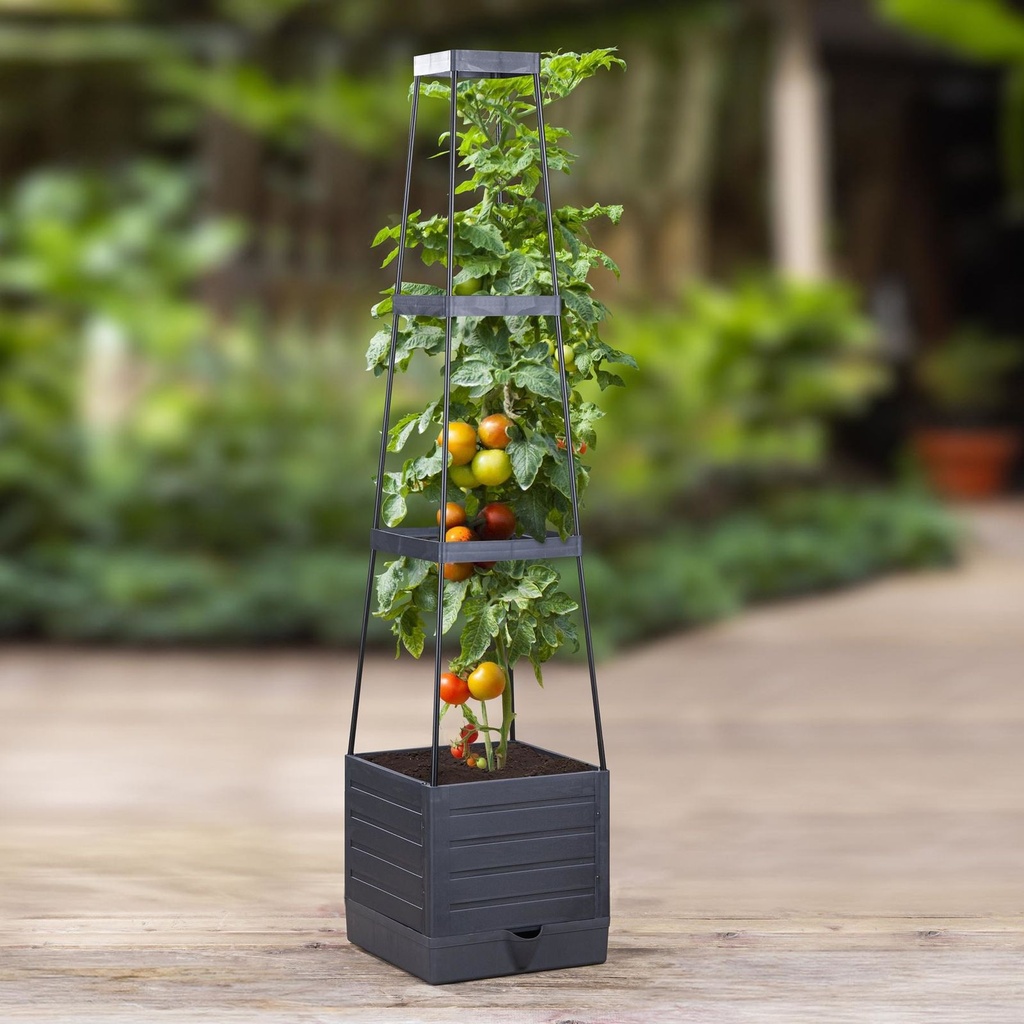 [17933] Robuste Pflanzenstütze für gesundes Wachstum