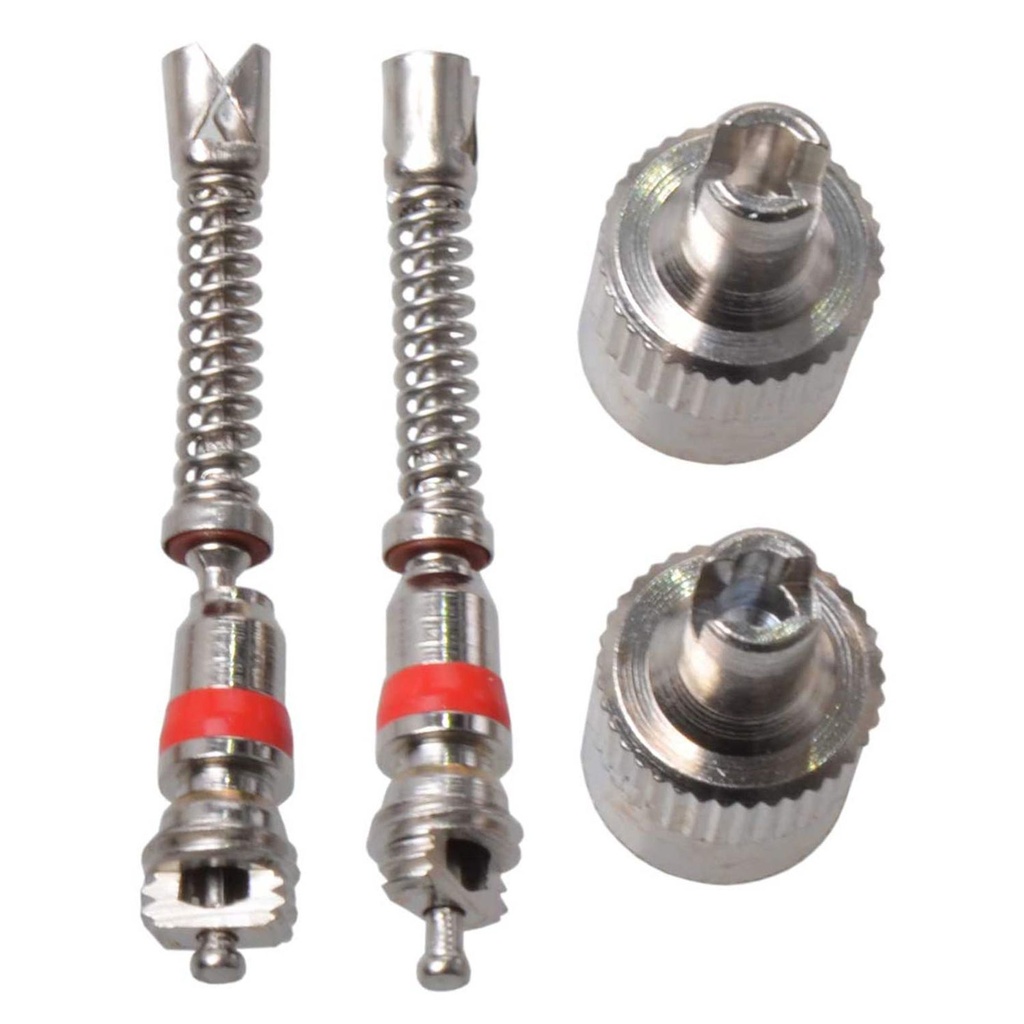 Ventileinsätze Autoventil Set 2 Stück mit Metallkappen schwarz silber